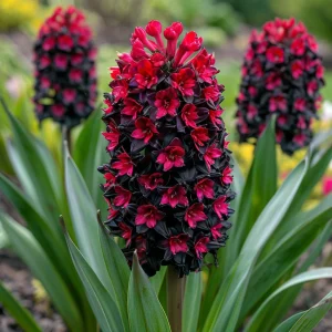 Гиацинт Джем Стоун купить по цене от 2099р. в интернет-магазине «Посадика» с доставкой почтой в в Уренье и по всей России – [изображение №1].