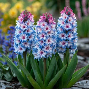 Гиацинт Пинк Мари купить по цене от 2099р. в интернет-магазине «Посадика» с доставкой почтой в в Уренье и по всей России – [изображение №1].