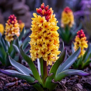 Гиацинт Миднайт Мистери купить по цене от 2099р. в интернет-магазине «Посадика» с доставкой почтой в в Уренье и по всей России – [изображение №1].