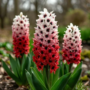 Гиацинт Скай Гарден купить по цене от 2099р. в интернет-магазине «Посадика» с доставкой почтой в в Уренье и по всей России – [изображение №1].